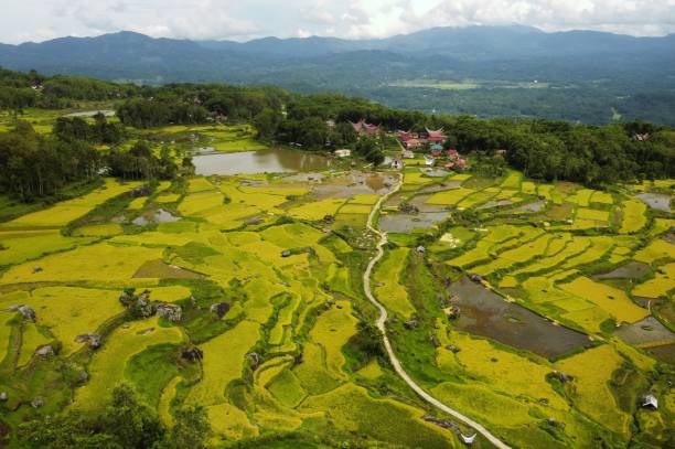 Dusun Saluna'