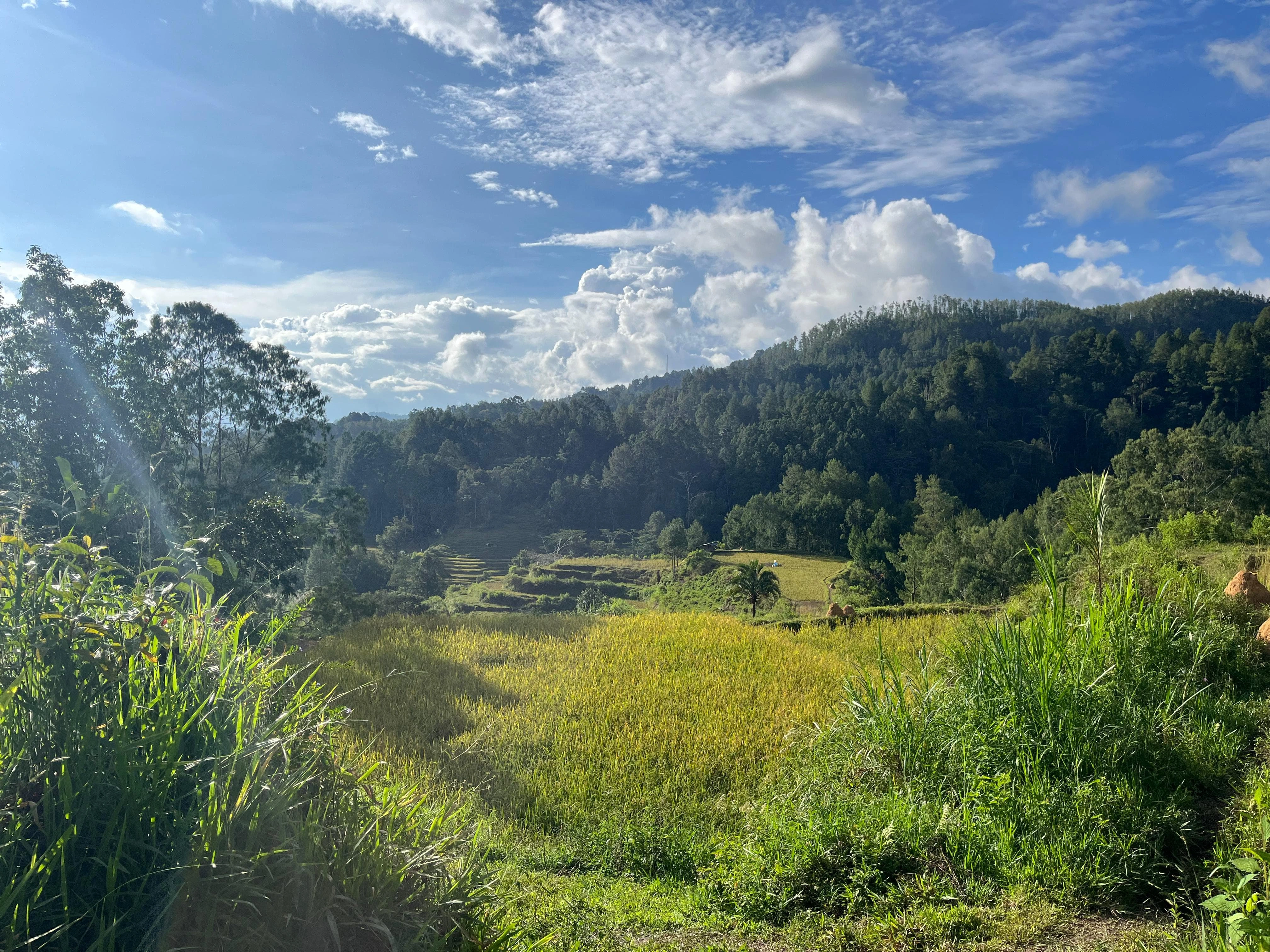 Dusun Kedua