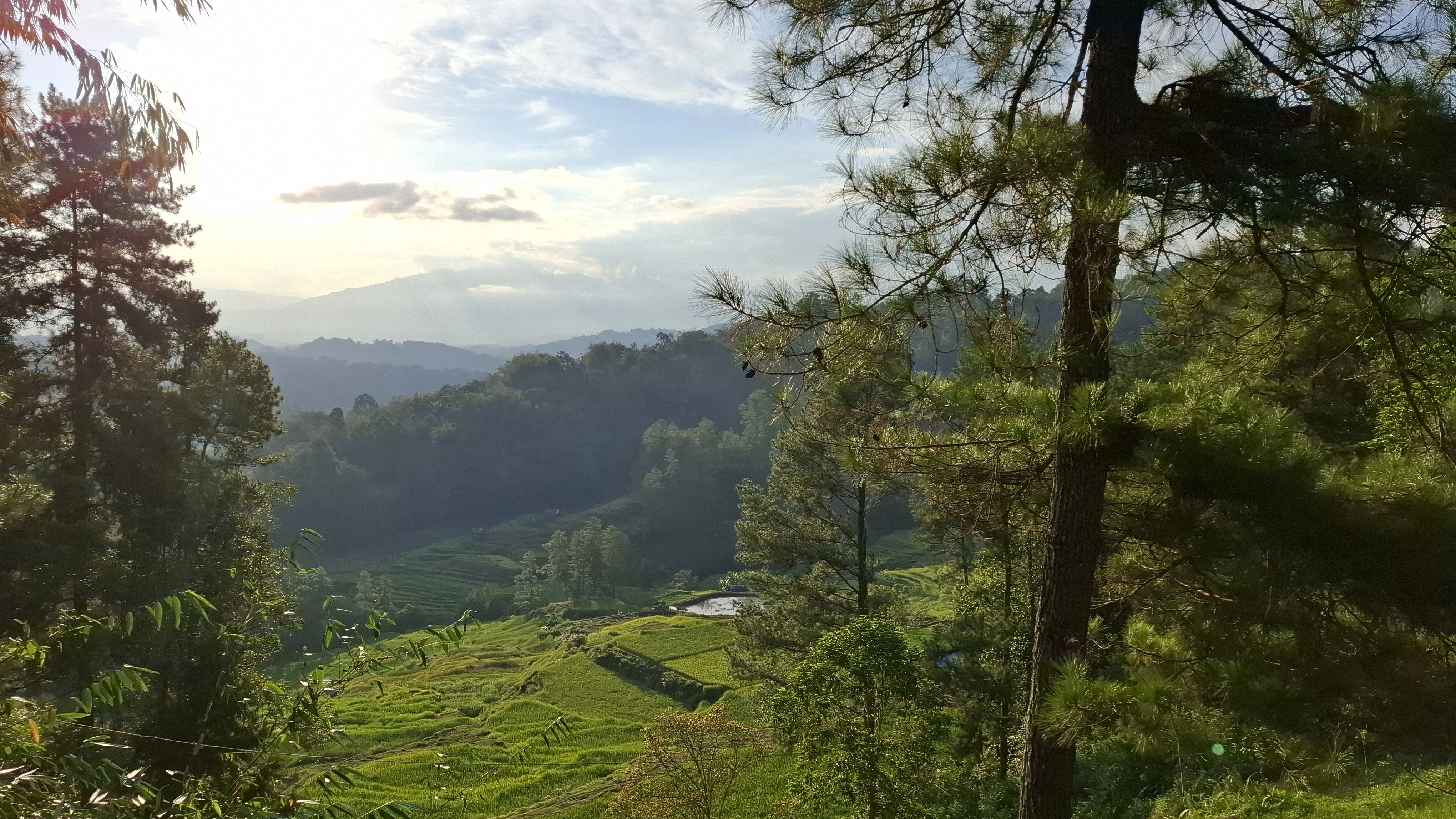 Dusun Saluna'