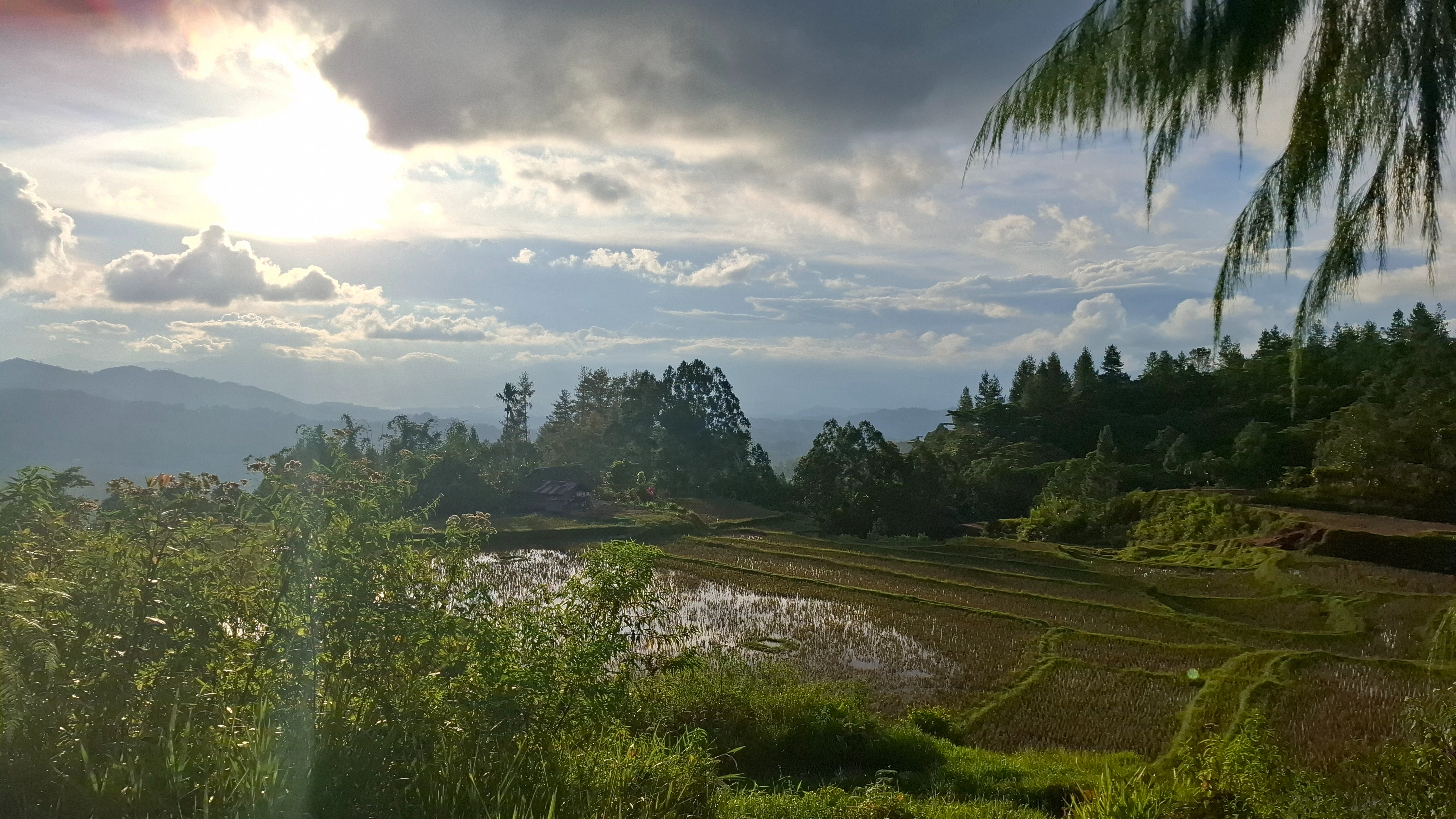 Dusun Tanete